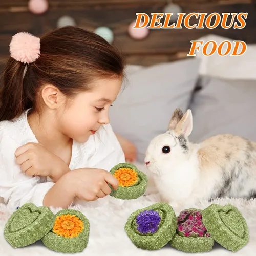 Vista 5 de 20 juguetes masticables de conejo, juguetes de conejo para dientes de conejo, chinchilla, hámster, conejillo de indias y cerdo, pasteles de heno
