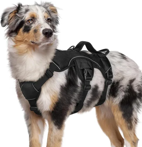 Vista 19 de rabbitgoo - Arnés para perros a prueba de fugas, arnés para mascotas acolchado y suave de cuerpo completo, arnés reflectante ajustable sin tirones