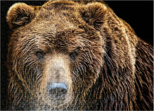 Vista 8 de MyPuzzle Brown Bear Ursus Arctos Beringianus - Rompecabezas prémium de 100 piezas para adultos