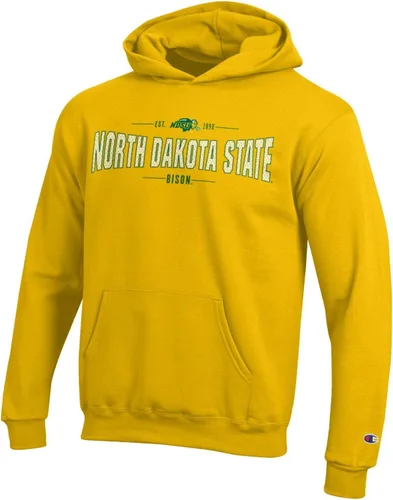 Vista 4 de Champion NCAA Ncaa Youth - Sudadera con capucha de forro polar de manga larga para niño Color del