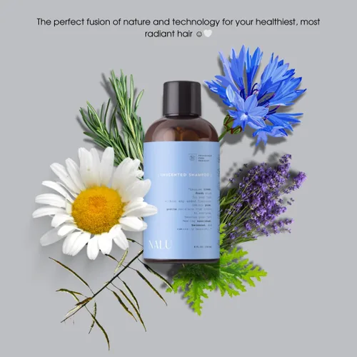 Vista 4 de NALU Champú sin perfume infundido con hidrosol orgánico de romero y lavanda. Para cuero cabelludo sensible Rejuvenecedor, nutritivo, limpiador