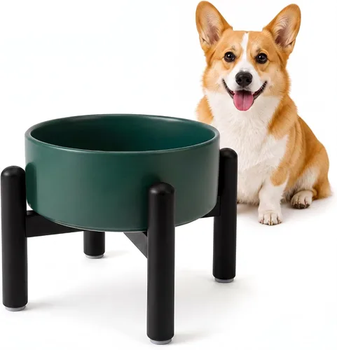 Vista 26 de Juego de cuencos elevados de cerámica para perros con soporte, 2 tazas de Negro