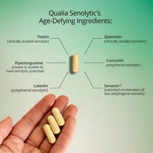 Vista 7 de QUALIA LIFE SCIENCES Suplemento senolítico, fisetina, quercetina, piperlongumina y más, suplemento para el envejecimiento, apoya la reparación