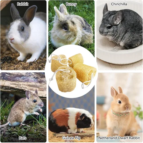 Vista 9 de 12 piezas de juguetes masticables de conejo, juguete masticable natural de conejo, lufa, juguetes para moler dientes de chinchilla, conejillo