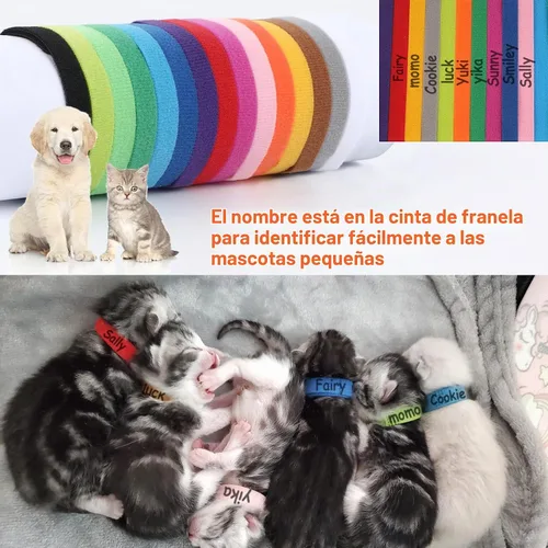 Vista 5 de 30 collares de parto para cachorros, collares para mascotas recién nacidas, bandas de identificación ajustables suaves de doble cara, collares