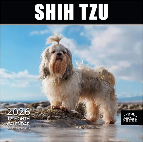 Vista 121 de MICASA PRESS Calendario de pared de Australian Shepherds Aussies 2027 02 - Pastores australianos