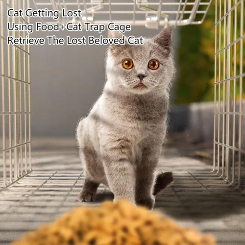 Vista 5 de Trampa de jaula de animales vivos, mapache, trampa plegable de hierro galvanizado para gatos callejeros, gatitos humanos para mapaches, gatos Plata