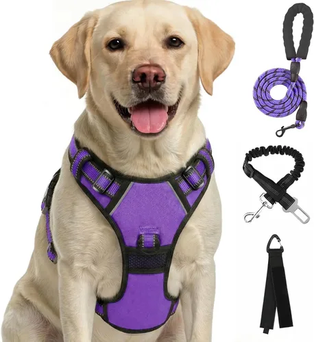 Vista 8 de FURRYFECTION Arnés a cuadros para perros pequeños, chaleco reflectante ajustable sin tirones para mascotas con clip frontal, correa, asa de fácil