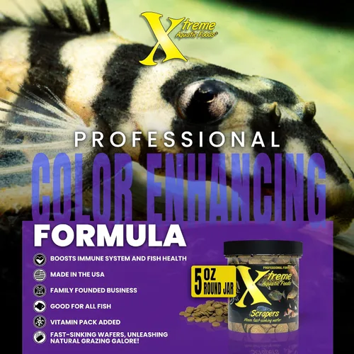 Vista 5 de Xtreme Scrapers - Obleas de 0.551 in - Pleco, bagre y locha para pescado