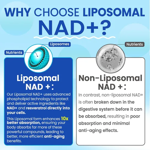 Vista 5 de Suplemento liposomal Nad+ para mujeres y hombres - Gomitas Nad de absorción máxima más resveratrol, fisetina, quercetina, TMG, cafeína, B12