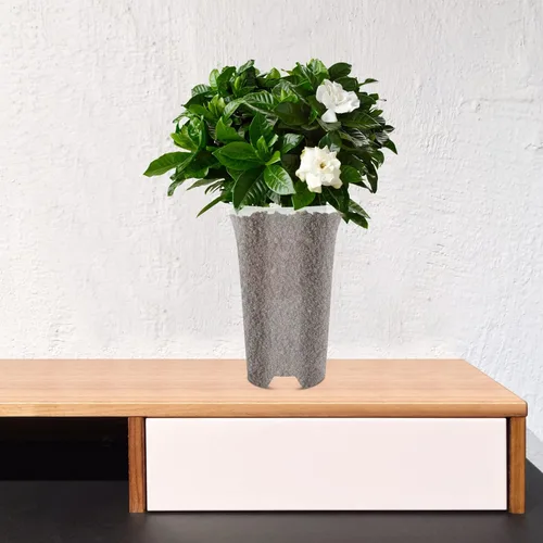 Vista 4 de DOITOOL 5 macetas de plástico transparente para orquídeas, macetas con agujeros, transpirables, altas, para interiores y exteriores, plantas