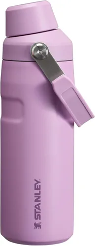 Vista 55 de STANLEY IceFlow Botella de agua de flujo rápido de 24 onzas Tapa con boquilla inclinada Ligera y a prueba de fugas para viajes y deportes Polar