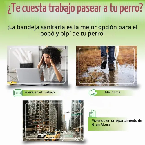 Vista 4 de BANU Bandeja de entrenamiento para inodoro para perros pequeños y medianos