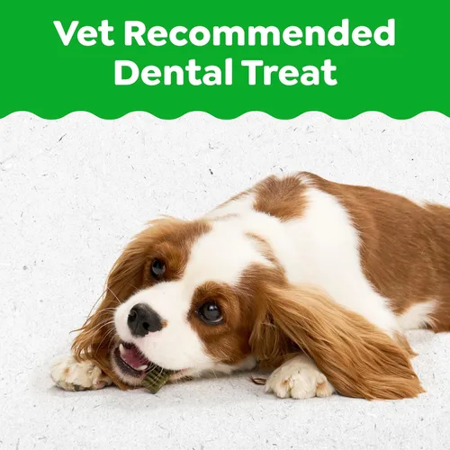 Vista 3 de Greenies Golosinas dentales naturales recomendadas por veterinarios para cachorros, tamaño pequeño, golosinas dentales para perros, paquete de 6