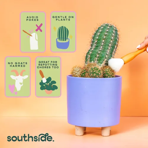 Vista 4 de Southside - Cepillos de limpieza para plantas suculentas y cactus, asas de madera con cerdas suaves de pelo de cabra, herramientas de limpieza