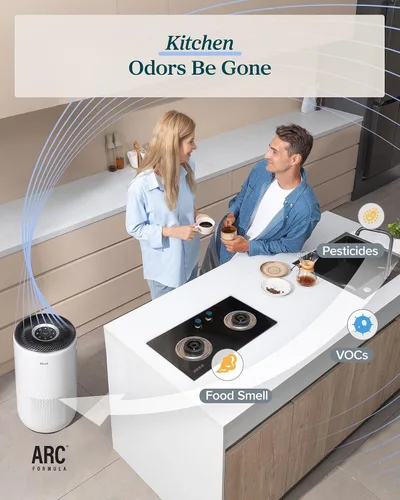Vista 6 de LEVOIT Purificadores de aire inteligentes para el hogar habitación grande