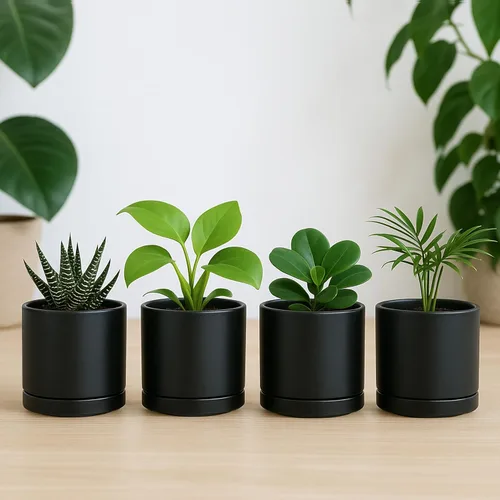 Vista 7 de D'vine Dev Juego de 4 macetas pequeñas de cerámica, maceta para suculentas de 3.5 pulgadas para plantas con orificio de drenaje y platillo