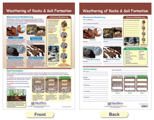 Vista 4 de NewPath Learning Earth's Surface - Tablón de anuncios, juego de 3 unidades, laminados, de doble cara, a todo color, 12 x 18 pulgadas (94-8004)