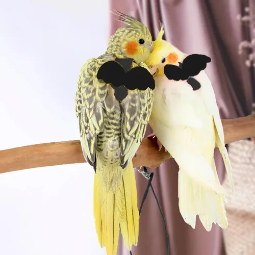 Vista 6 de Correas y arneses ajustables para pájaros, arnés de nailon para pájaros con bonito ala para loros, accesorios para pájaros para mascotas, correa