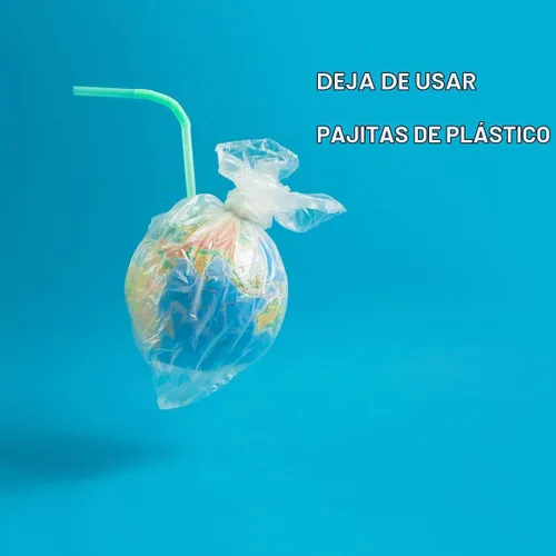 Vista 7 de KTOB Pajitas flexibles biodegradables