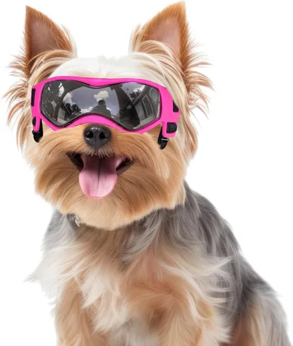 Vista 9 de Gafas para perros de razas pequeñas, lentes de sol para perros pequeños con protección UV, gafas para mascotas al aire libre, para equitación Negro