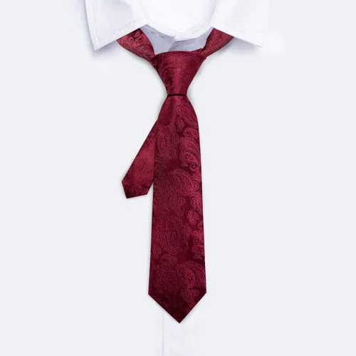 Vista 124 de Barry.Wang Corbata de niño regular seda tejida rayas sólido lazo bolsillo cuadrado