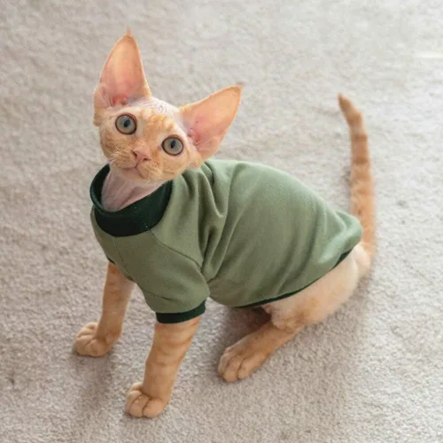 Vista 4 de Ropa para gatos sin pelo, camisa de algodón transpirable, para primavera, verano, otoño, gato, ropa para esfinge, Cornish Rex, Devon Rex, Peterbald