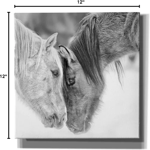Vista 3 de Epic Graffiti BandW Horses VII de PH Burchett, lienzo para pared, 12.0 x 12.0 in