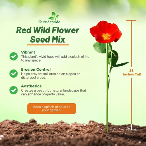 Vista 2 de Outsidepride Mezcla anual de semillas de flores silvestres rojas de 5000 semillas para plantar