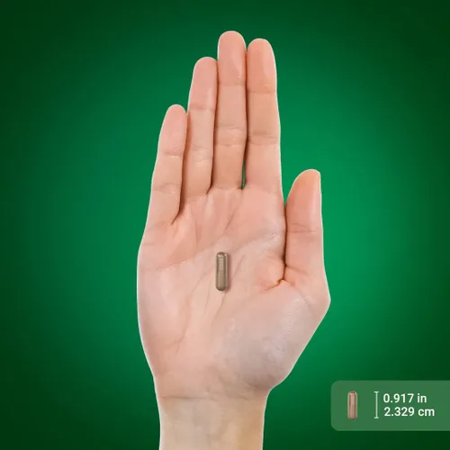Vista 7 de Piping Rock Amla Cápsulas 1000mg 120 pastillas Suplemento de extracto de fruta Sin OMG, sin gluten