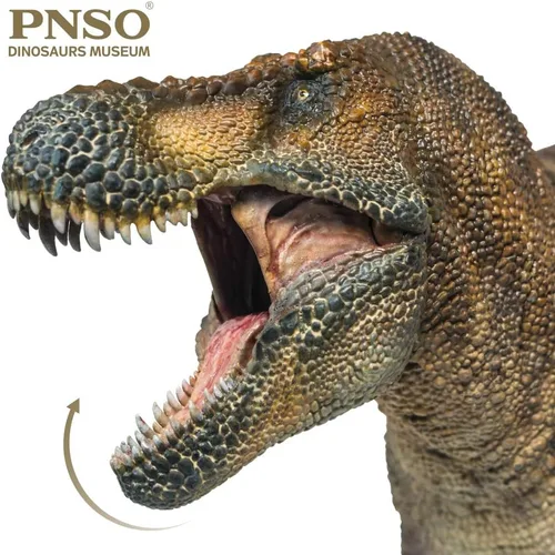 Vista 2 de PNSO Dinosaur Museums Series: Wilson the Tyrannosaurus Rex 1:35 T. Rex Exhibit Set, mandíbula de apertura, base de visualización, manual de 48