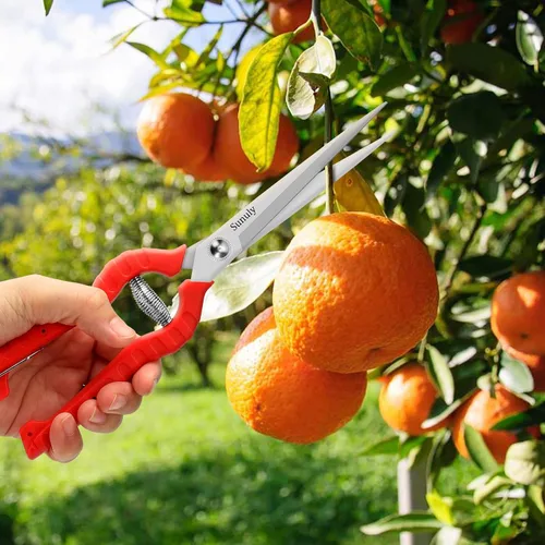 Vista 4 de Tijeras de podar extralargas, podadoras manuales de jardinería con cuchillas de acero inoxidable, tijeras de jardín para arreglar flores, recortar