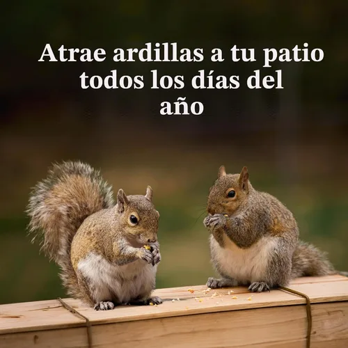 Vista 8 de C&S Nut'n Sweet Corn Squirrelog, recarga de paquete individual