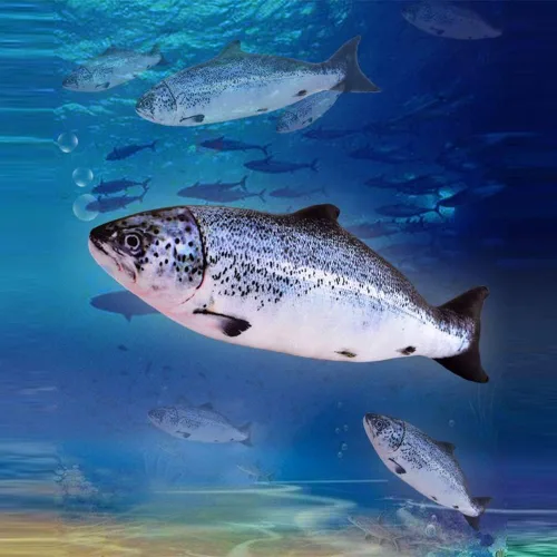 Vista 6 de OUKEYI Almohada y cojín suave de 31.5 pies para decoración de peces de salmón.