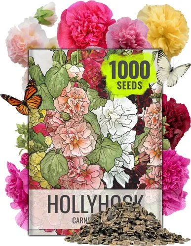 Vista 15 de Seed Needs - Semillas de flores para plantar Black Eyed Susan, paquete a granel de 1.5 onzas