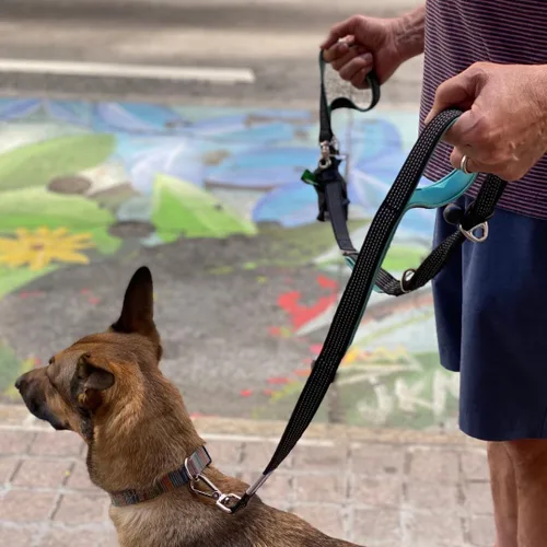 Vista 3 de Correa para perro sin tirones para perros grandes, correa elástica altamente reflectante de 6 pies, correa resistente para perros grandes, 4 asas