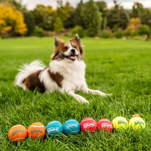 Vista 5 de Outward Hound Squeaker Ballz - Pelota de tenis para perro, pequeño, 2 Bolas chirriantes múltiples