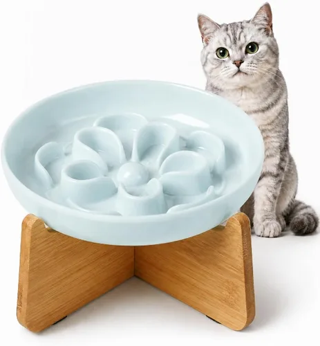 Vista 13 de PTOBER Cuenco elevado para gatos de alimentación lenta – Plato de melamina para gatos con soporte de bambú antideslizante – Tazón de alimentación