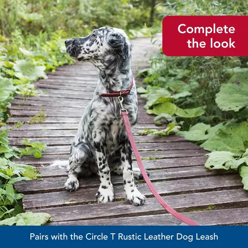 Vista 6 de Coastal Pet - Circle T - Collar de piel rústica para perro, rojo ladrillo, 1 x 20 pulgadas