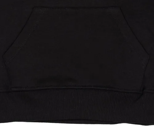 Vista 5 de Jurassic Park Sudadera con capucha y logotipo de vellón para niños grandes