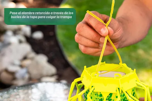 Vista 8 de RESCUE! VisiLure® TrapStik para avispas, barro, abejas carpinteras, paquete de 2