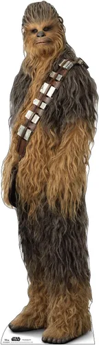 Vista 22 de Cardboard People BOOLIO - Soporte de cartón de tamaño real - Star Wars: Episodio IX - El ascenso de Skywalker (película de 2019)