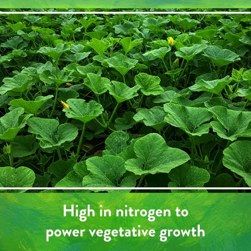 Vista 8 de Down To Earth Abonos Naturales Orgánicos Orgánicos Guano de Murciélago - Alimento Vegetal Alto en Nitrógeno para Crecimiento Vegetativo 7-3-1, 0.25