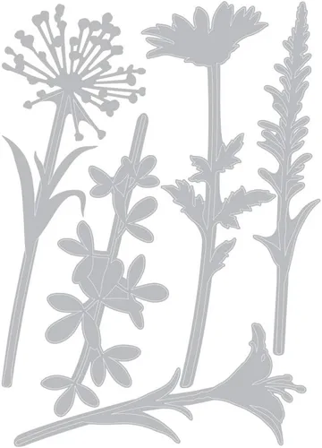 Vista 4 de Tim Holtz Sizzix - Paquete Thinlit de tallos de flores silvestres - #1 y #2