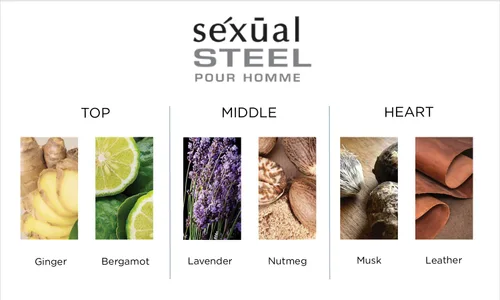 Vista 4 de Michel Germain Sexual Steel Pour Homme, 2.5 oz