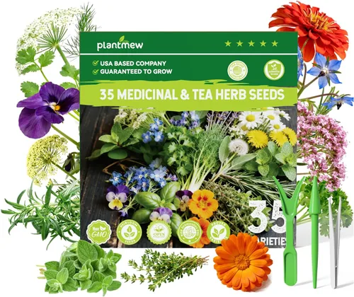 Vista 9 de 35 semillas de hierbas medicinales y de té para plantar, paquete variado