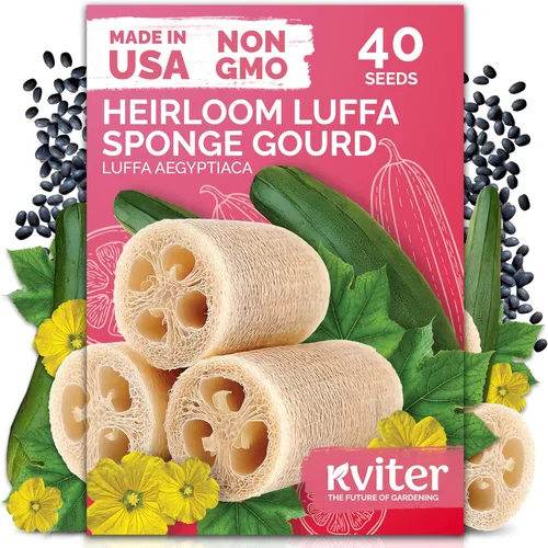 Vista 28 de KVITER 3000 semillas de espinaca egipcias - Molokhia (Corchorus Olitorius) - Hojas de yute, Ewedu, Día de Rau, Semillas de vegetales Saluyot