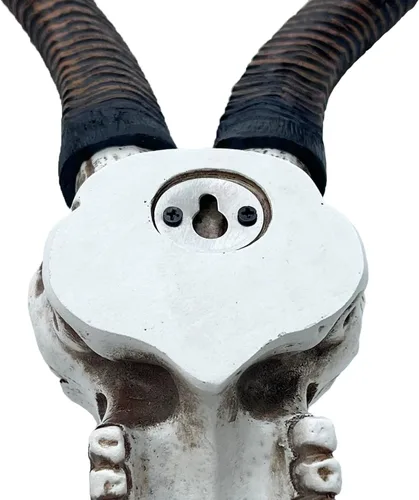 Vista 3 de Top Brass Calavera de antílope Kudu africano de 14 1/2 pulgadas, cabeza de montaje en pared, decoración rústica de safari