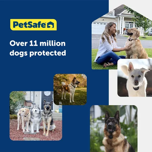 Vista 6 de PetSafe Valla Básica Subterránea para Mascotas, Valla Subterránea para Perros, Contención Eléctrica para Mascotas, Collar Impermeable para Perros