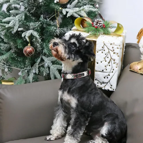 Vista 68 de Aring Pet Collar de algodón, ligero y ajustable, con hebilla de liberación rápida, para perros pequeños, medianos y grandes, para cachorros, S, Hoja